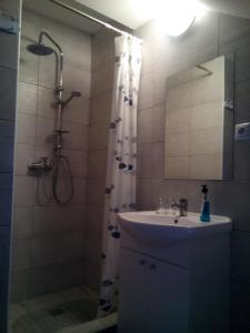 a bathroom with a sink and a shower at SOBE ŠOKČIĆ in Karlovac