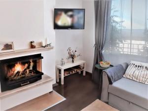 - un salon avec une cheminée et un canapé dans l'établissement Apartment in Infinity Aparthotel, à Bansko