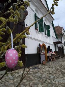 Fotografie z fotogalerie ubytování Pensiunea ARANYOS v destinaci Rimetea + 124 fotografií