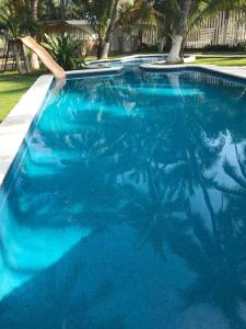 een zwembad gevuld met blauw water met palmbomen bij Nichos Beach Villas in Playa Azul