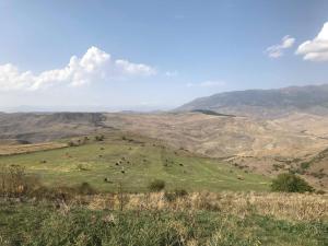 a view of a field with cows on a hill at Oasis in Aspindza