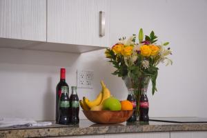 Ποτά στο Regency Inn & Suites Sarasota +46 φωτογραφίες