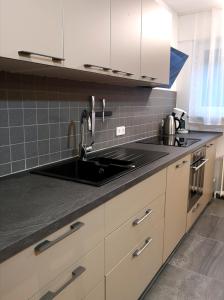 a kitchen with a sink and a counter top at Family Suites & Parking in Baden-Baden