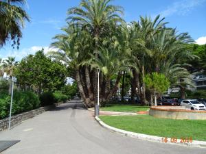 a street with palm trees in a park at Palm beach Cannes Azur in Cannes