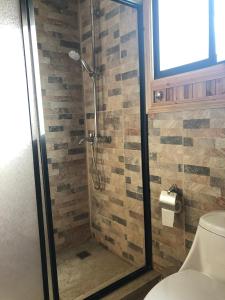 a bathroom with a glass shower with a toilet at Domo Trasmahue in Villarrica