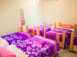 a group of four beds in a room with purple covers at Guest Green in Ciudad Nezahualcóyotl