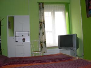 una camera con letto, TV e finestra di Back-Packer Federnhut a Schaffhausen