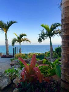 a garden with palm trees and the ocean in the background at Nakai Beach Homestay in Trafalgar