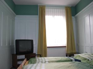 una camera da letto con un letto, una tv e una finestra di Back-Packer Federnhut a Schaffhausen Altre 23 foto