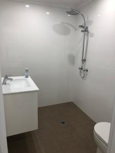 a bathroom with a shower and a sink and a toilet at Broadway Apartment in West Wyalong