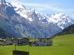un grupo de casas en un campo frente a una montaña en Apart Alpinea, en Sankt Leonhard im Pitztal