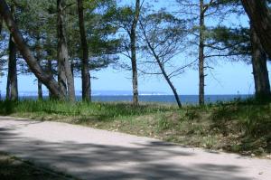 a road with trees and the ocean in the background at Ostsee Strandhaus Seerobbe in Baabe