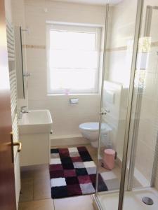 a bathroom with a toilet and a sink and a window at Kleine Harzzeit in Hahnenklee-Bockswiese