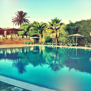 a swimming pool with chairs and umbrellas and palm trees at Hotel Vista Odin in Playa de Palma