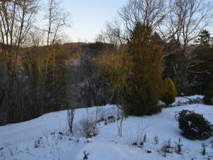 een sneeuwveld met bomen en een bank in de sneeuw bij Spacious Eifel Escape in Manderscheid