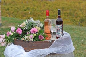 Nápoje v ubytování Koczor Winery & Guesthouse