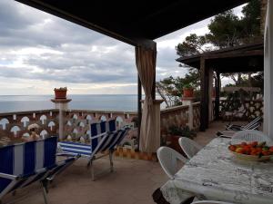 Táj Show holiday homes közelében