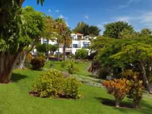 a view of a garden with trees and bushes at Hotel Jardín Tecina in Playa de Santiago