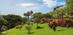 a park with palm trees and grass and a building at Hotel Jardín Tecina in Playa de Santiago