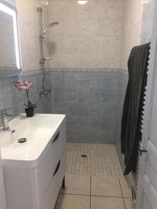 a bathroom with a white sink and a shower at CAP NATURE - T4 et T3 en Périgord vert - horaires adaptables- Idéal PROS et GROUPES in Champniers-et-Reillac