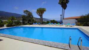 a large swimming pool with blue chairs and palm trees at Casa Grøn in Breña Alta
