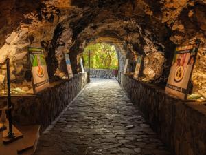 a tunnel in a cave with a stone walkway at Hotel Jardín Tecina in Playa de Santiago