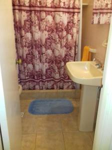 baño con lavabo y cortina de ducha en ACOGEDOR DEPARTAMENTO EN EL CENTRO DE PUNTA DEL ESTE, en Punta del Este