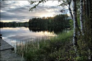 a view of a lake with trees and the water at Kultajärvi Holiday Home in Rastinniemi
