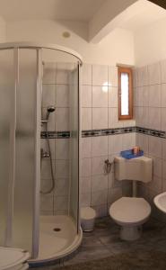 a bathroom with a shower and a toilet and a sink at Apartmani Sandro in Ivan Dolac