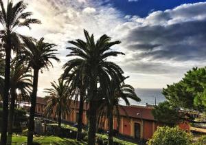 a group of palm trees in front of a building at Hotel Esperia in Genoa