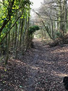 a dirt trail in a wooded area with trees at Nellies Shed, Wolds Way Holiday Cottages, 3 bed spacious cottage in Cottingham