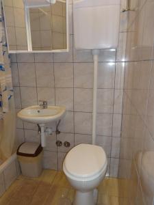 a bathroom with a toilet and a sink at Apartments Palma in Vir +60 photos