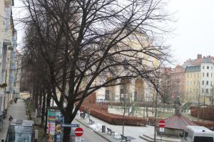 un árbol sin hojas en una calle de la ciudad en Fewo am Josephsplatz en Múnich