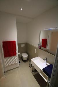 La salle de bains est pourvue de toilettes, d'un lavabo et d'un miroir. dans l'établissement Fewo am Josephsplatz, à Munich