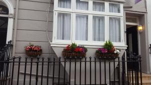 uma casa com três vasos de flores ao lado em Pink Pavilion em Brighton & Hove