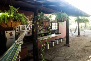 Tsunami Hostel في تاماريندو: غرفة بها أرجوحة ونباتات خزفية