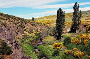 una colina con árboles y un río en un campo en Casa Rural La Vereilla, en Barajas de Gredos