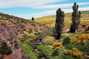 a hillside with trees and a river in a field at Casa Rural La Vereilla in Barajas de Gredos