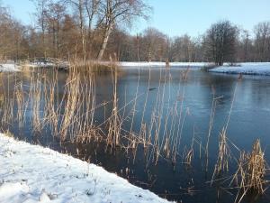 a body of water with some grass in the snow at Ferienwohnung Paula, Kluis in Gagern +10 photos