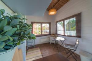 un salon avec une plante en pot et une table dans l'établissement Cozy Summerhouse in Nasva, à Nasva