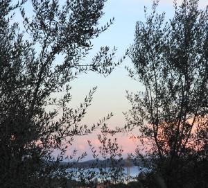 uma vista entre duas árvores ao pôr-do-sol em Résidence A Licetta em Porto-Vecchio