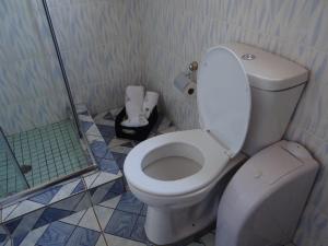 La salle de bains est pourvue d'une douche et de toilettes. dans l'établissement Flossie B&B, à Pimville