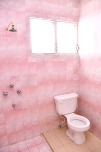 a pink tiled bathroom with a toilet and a window at Hotel y Hostal Casa Don Alfonso in Valladolid