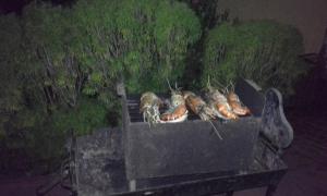 een rij hotdogs zittend op een grill bij Grace Villa Bentota in Bentota