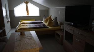 1 dormitorio con 1 cama, ventana y TV en Pension im Glück Thale, en Thale