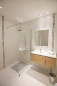 Un baño blanco con lavabo y ducha en Appartement Gerland - Centre historique -, en Dijon