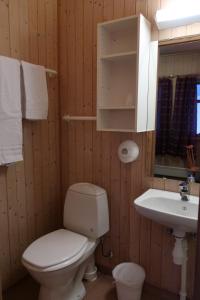 a bathroom with a toilet and a sink at Fredheimbrygga in Andenes