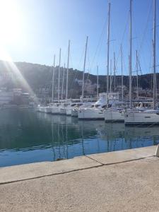 un groupe de bateaux amarrés dans un port dans l'établissement Bili, à Marina