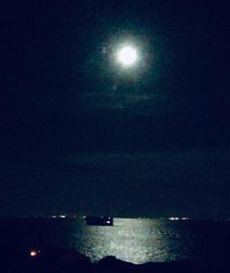 a full moon over the water at night at The Nook @ Drop Anchor in Portishead