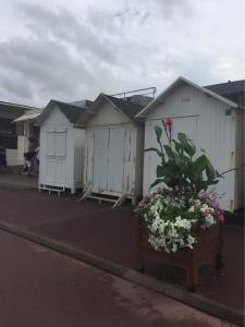 Gallery image of Maison de pêcheur 30m de la plage in Luc-sur-Mer